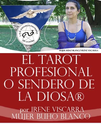 carrera profesional de tarot buenos aires argentina
